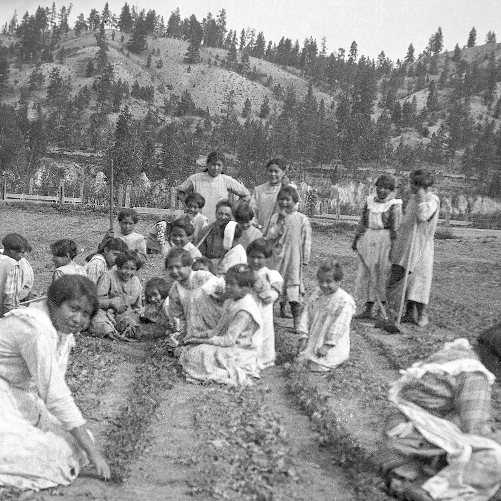 Indigenous children working in a farm field