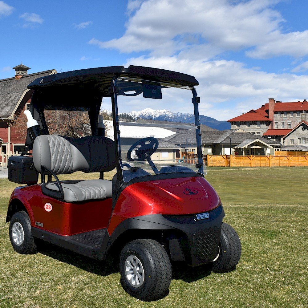 Electric Power Carts are Available