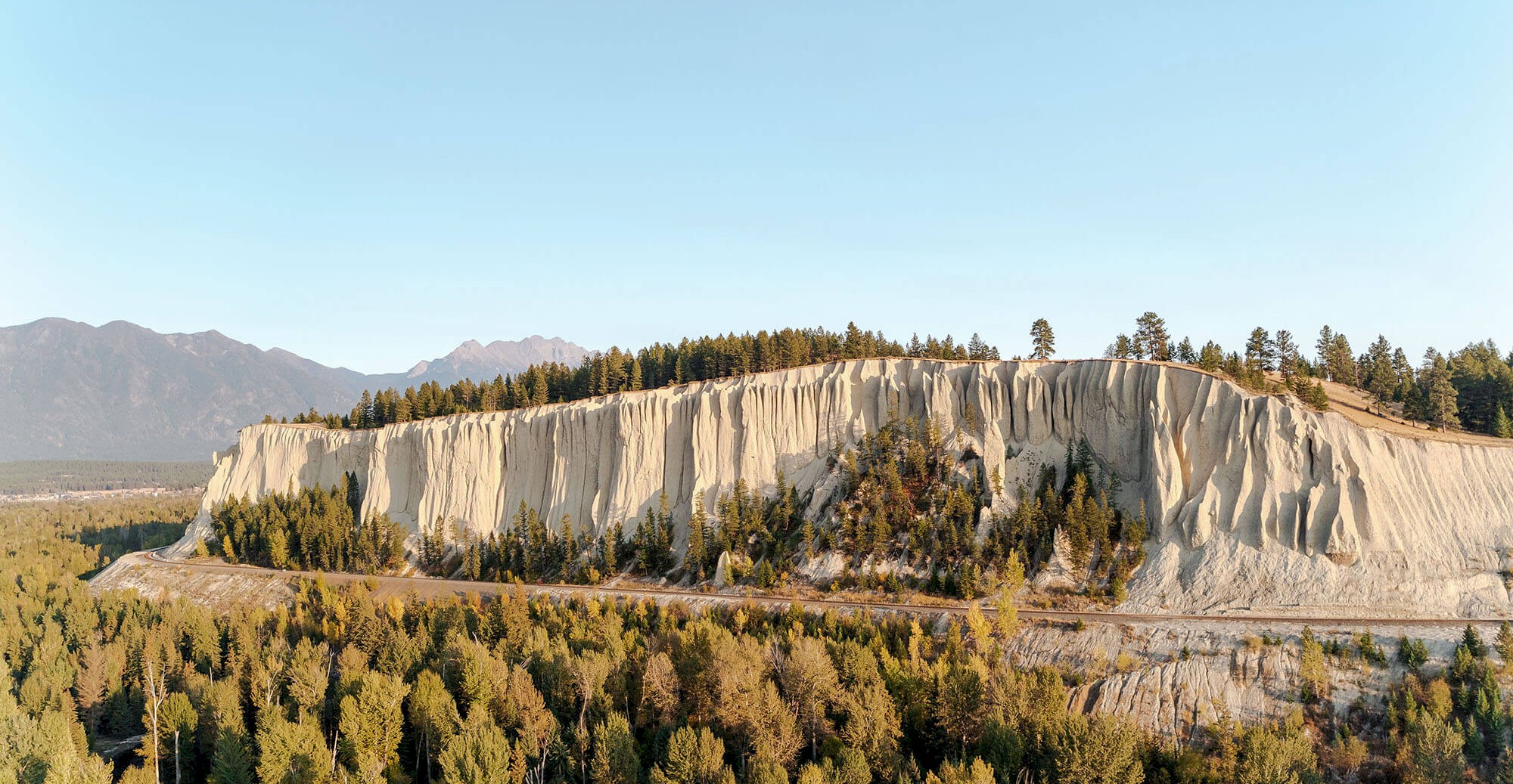 The Hoodoos