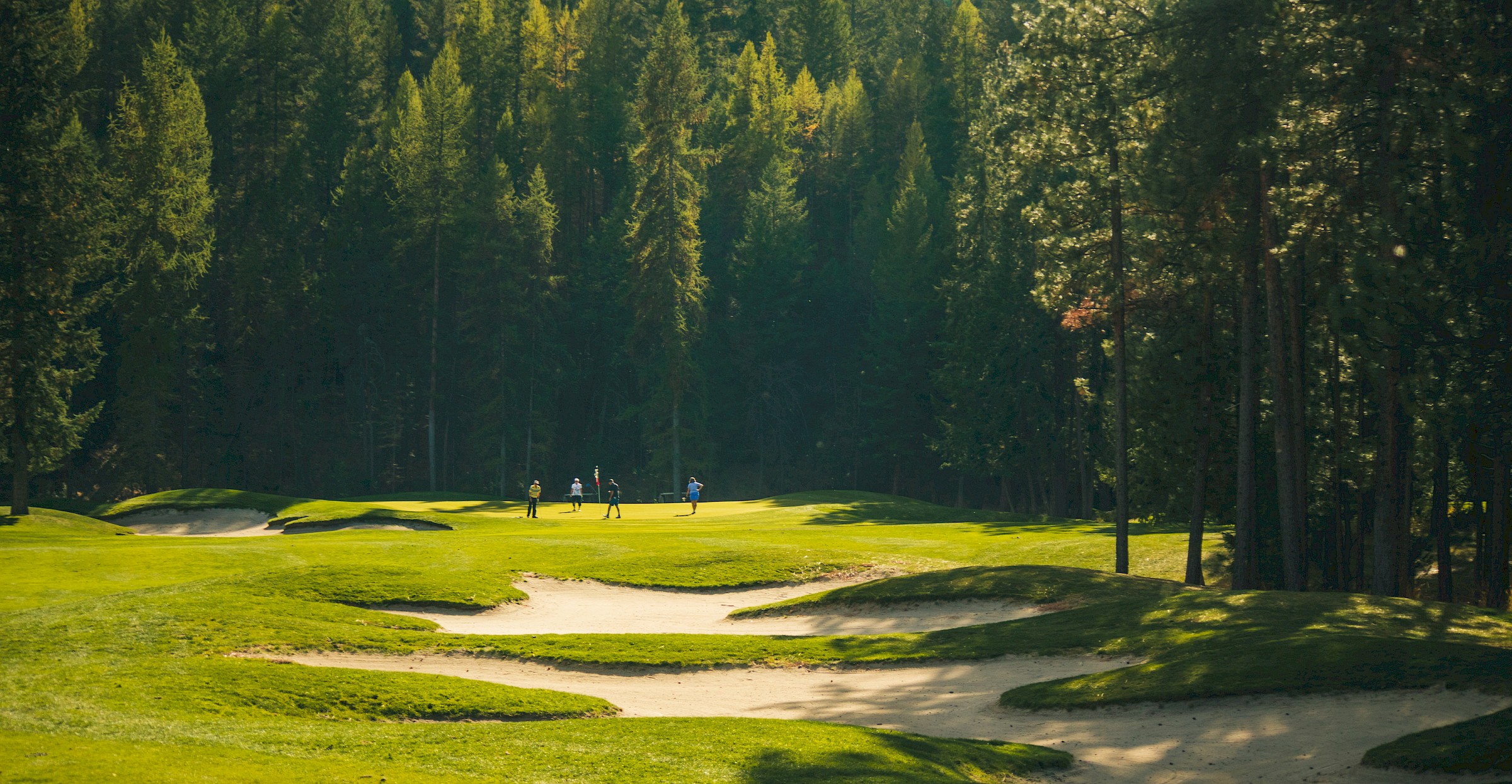 Group of golfers