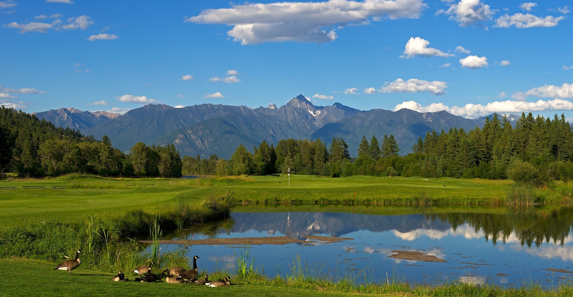 14th Green and pond